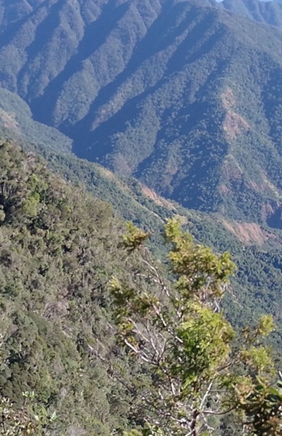 Naturaleza